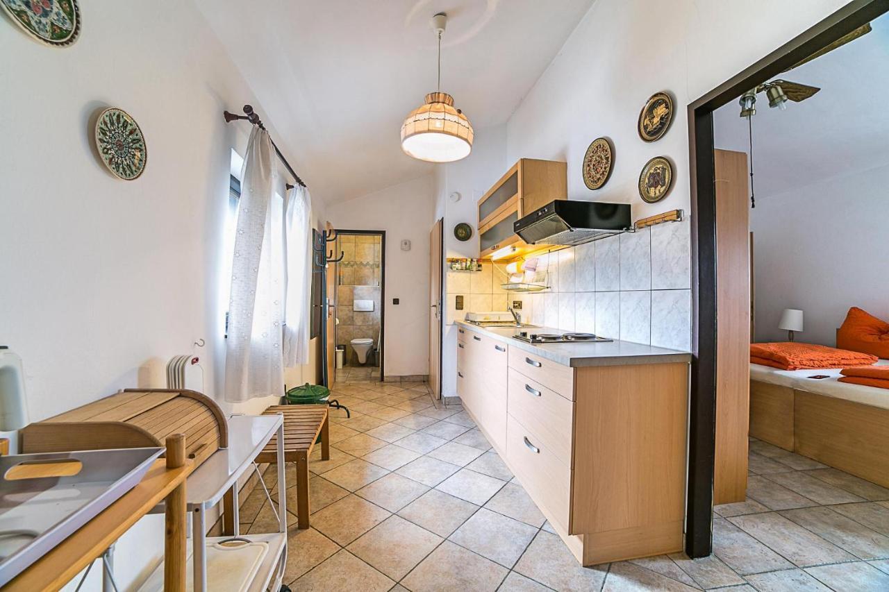 Rothauer Apartment *